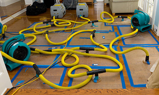 Professional Water Extraction technician working in Spencerville, MD